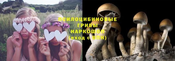 бошки Бронницы