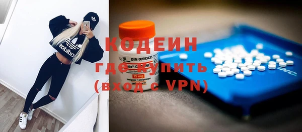 МДПВ Бородино