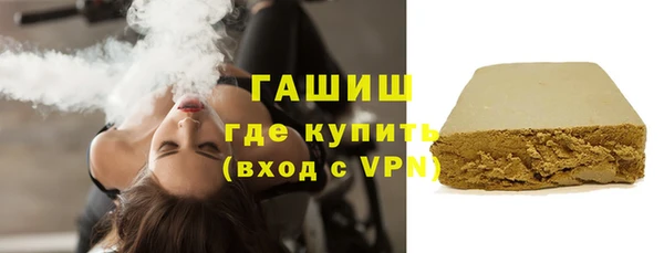 МДПВ Бородино