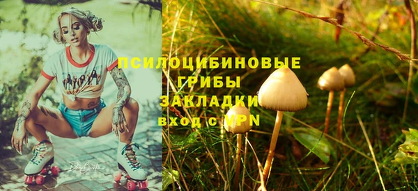 2c-b Бугульма