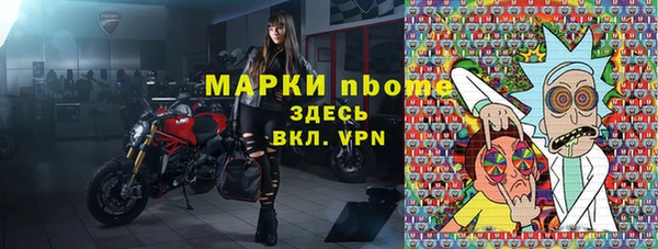МДПВ Бородино