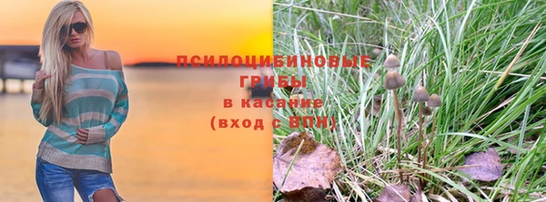 бошки Бронницы