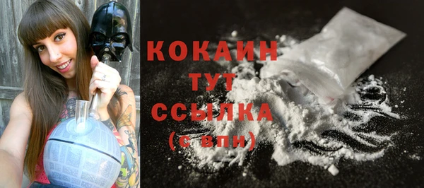 бошки Бронницы