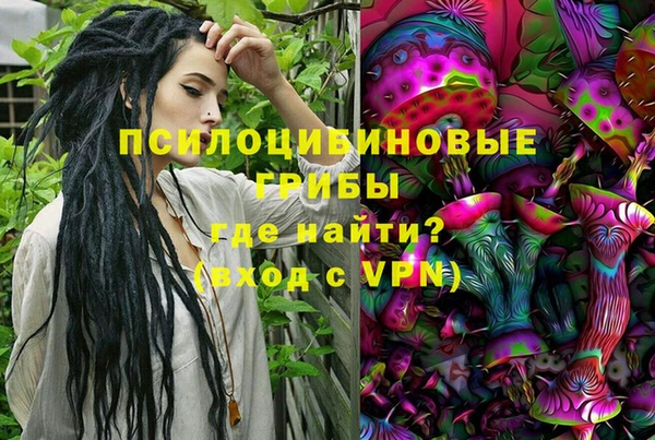 бошки Бронницы