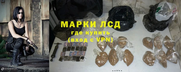МДПВ Бородино