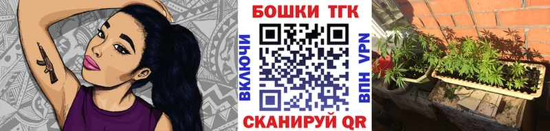 Бошки Шишки план Северская